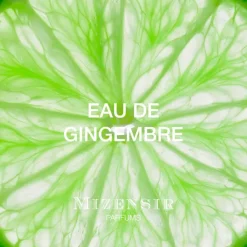 Recharges / 5x8ml^Mizensir Parfums EAU DE GINGEMBRE | Refills set