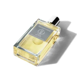 Eaux De Parfums^Mizensir Parfums EPINE DE ROSE | Eau de parfum