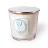 Grandes Bougies Parfumées^Mizensir Parfums Jardin Andalou | Large scented candle