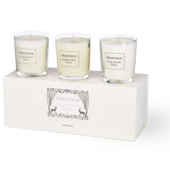 Les Coffrets Cadeaux^Mizensir Parfums Jardin d'Hiver | Trilogy box