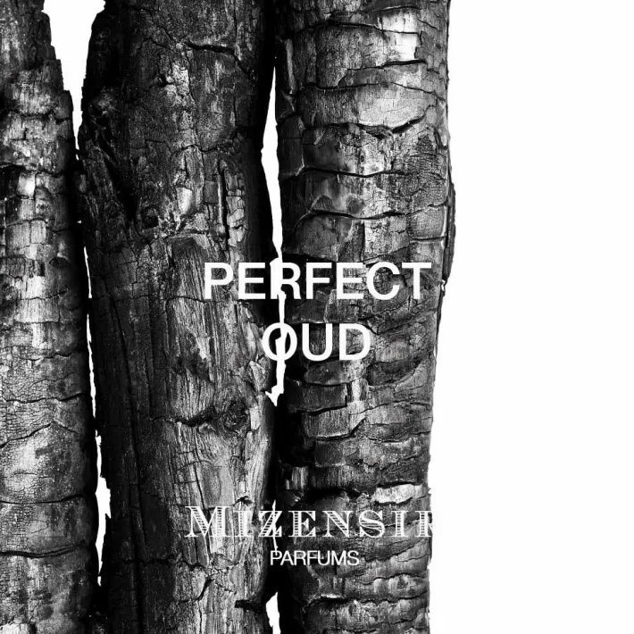 Etuis De Voyage / 3x8ml^Mizensir Parfums PERFECT OUD | Travel case