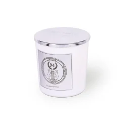 Bougies Parfumées^Mizensir Parfums Vacances d'Hiver | Scented candle